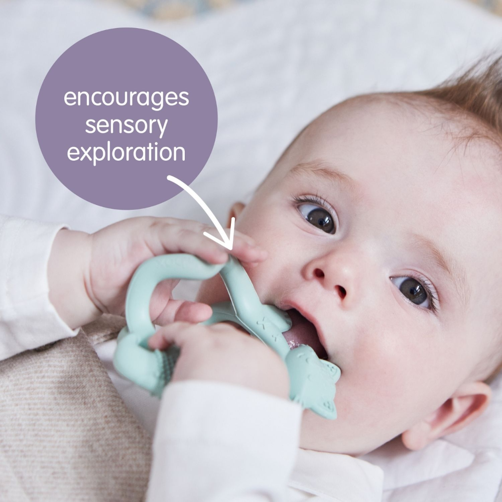 B.Box Silicone Wrist Teether Fox - Multi-Textured & Soothing for Teething Babies