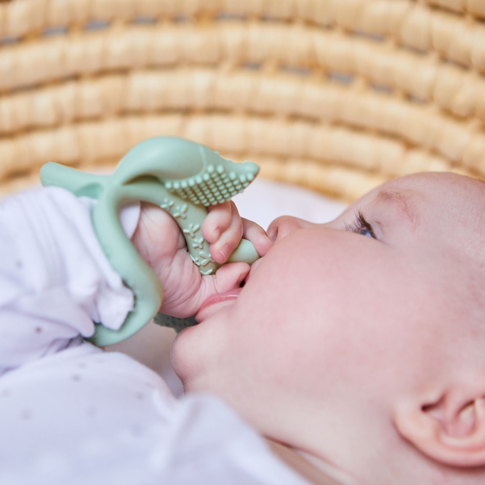 B.Box Silicone Wrist Teether Fox - Multi-Textured & Soothing for Teething Babies