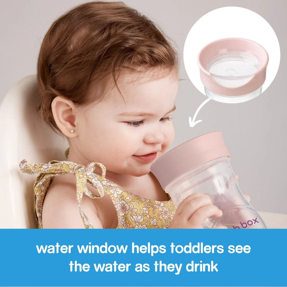 B.Box Training Cup - Free, Free-Flow Drinking for Toddlers