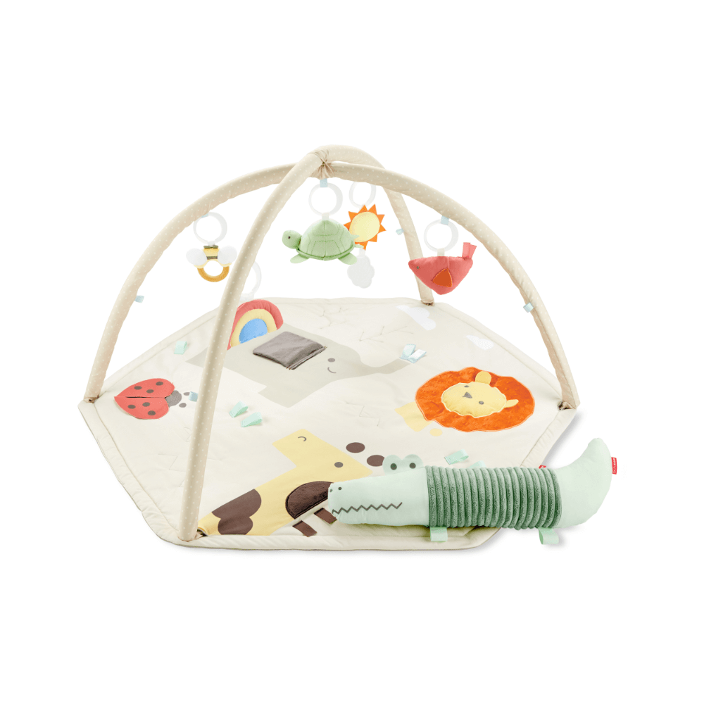 Skip Hop Geometric Wonders Activity Gym