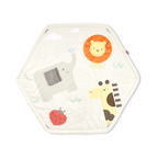 Skip Hop Geometric Wonders Activity Gym