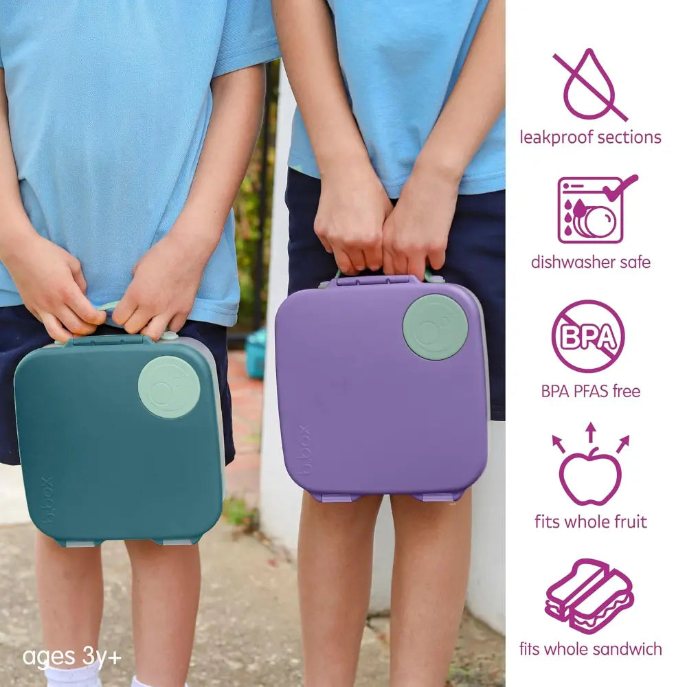B.Box Leakproof Bento Style Big Lunchbox for Kids with 5 sections - ideal for School Lunch