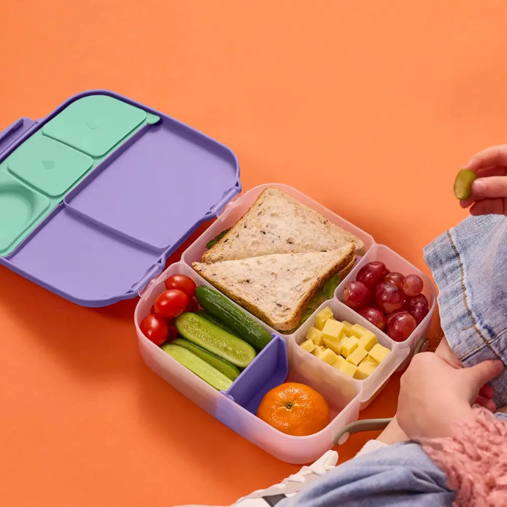 B.Box Leakproof Bento Style Big Lunchbox for Kids with 5 sections - ideal for School Lunch