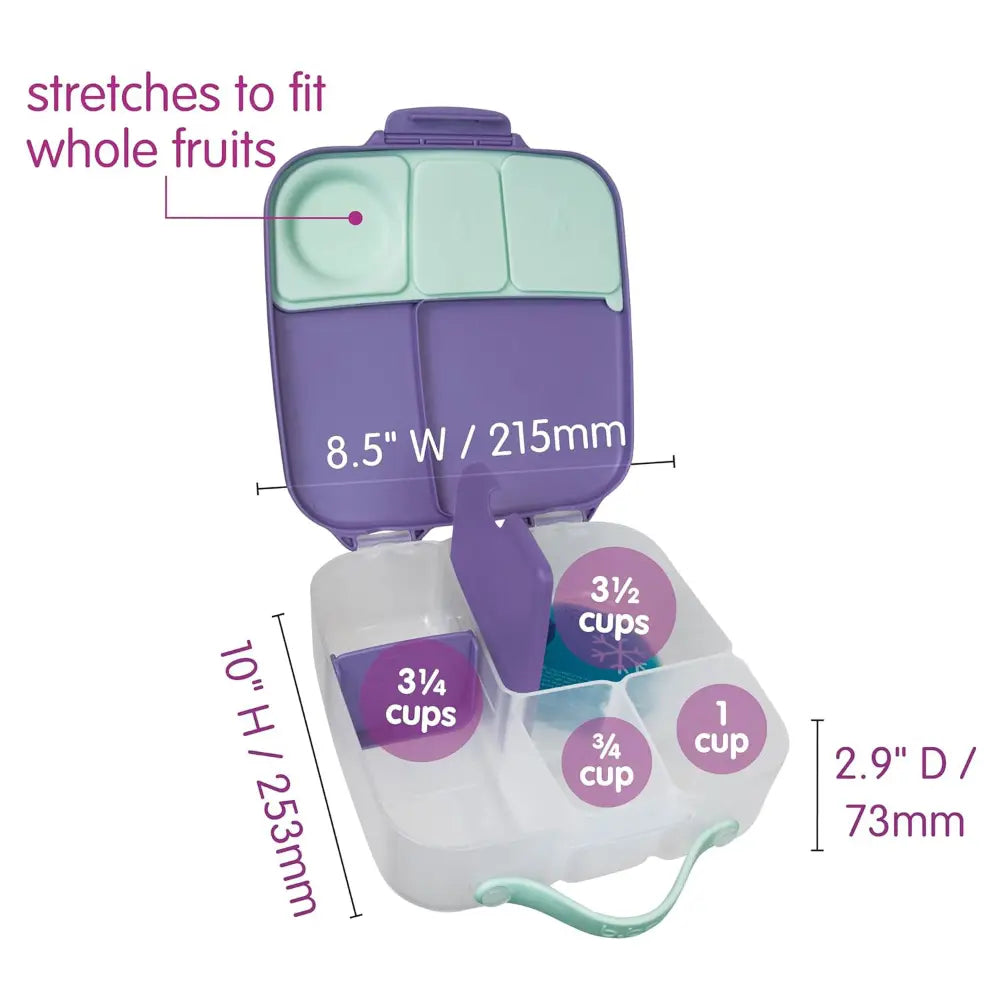 B.Box Leakproof Bento Style Big Lunchbox for Kids with 5 sections - ideal for School Lunch