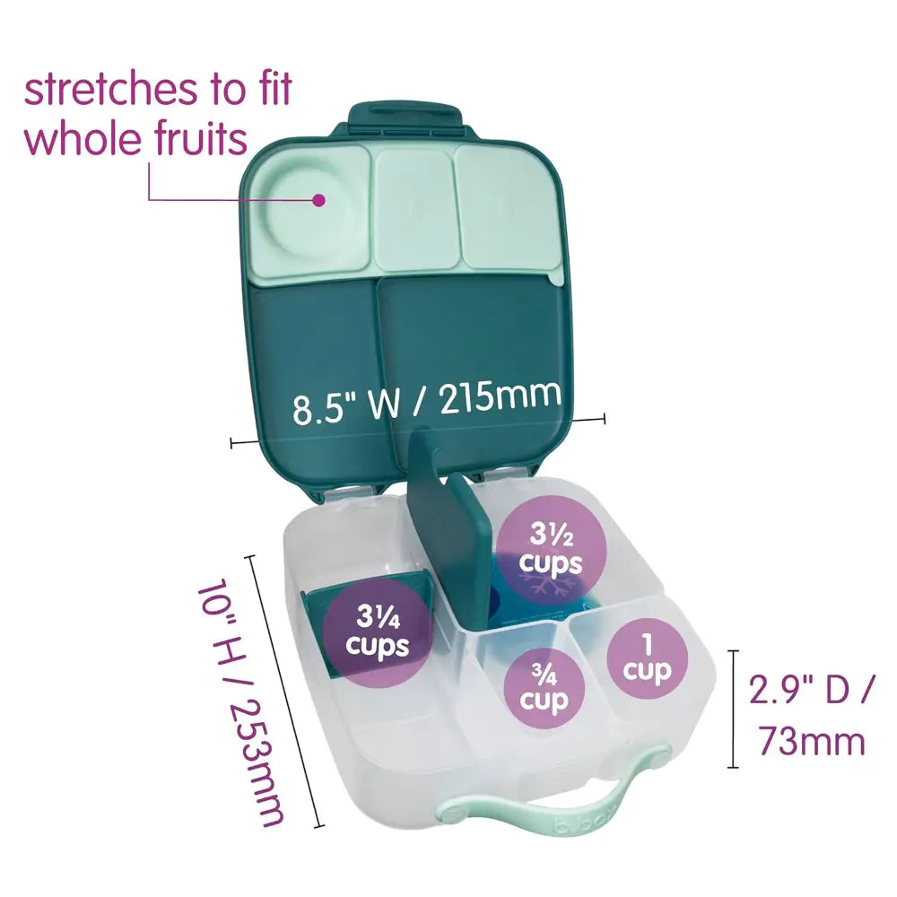 B.Box Leakproof Bento Style Big Lunchbox for Kids with 5 sections - ideal for School Lunch