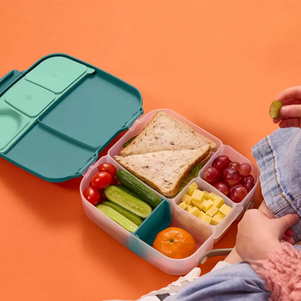 B.Box Leakproof Bento Style Big Lunchbox for Kids with 5 sections - ideal for School Lunch