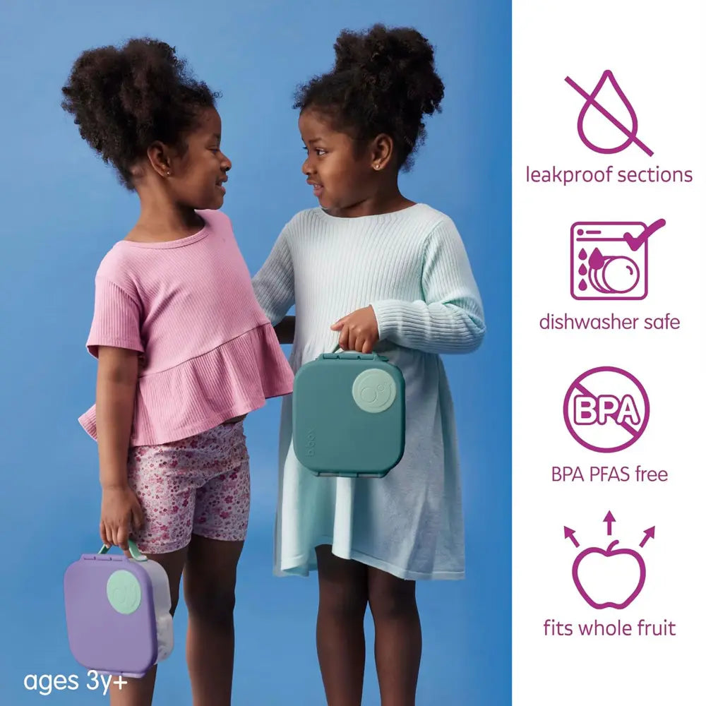 B.Box Leakproof Bento Style Mini Lunchbox for Kids- A Handy Option for Kids 1L Capacity