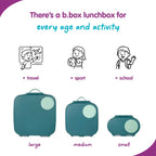 B.Box Leakproof Bento Style Mini Lunchbox for Kids- A Handy Option for Kids 1L Capacity