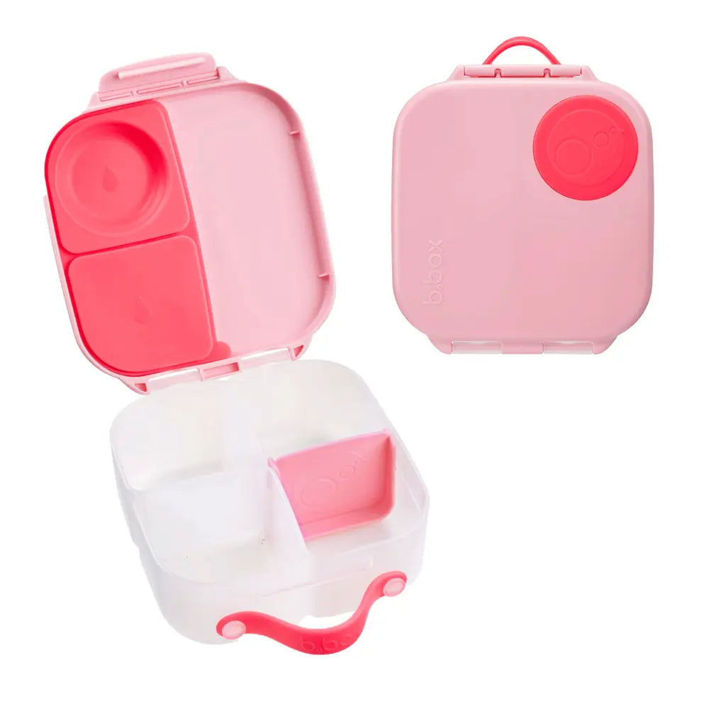 B.Box Leakproof Bento Style Mini Lunchbox for Kids- A Handy Option for Kids 1L Capacity