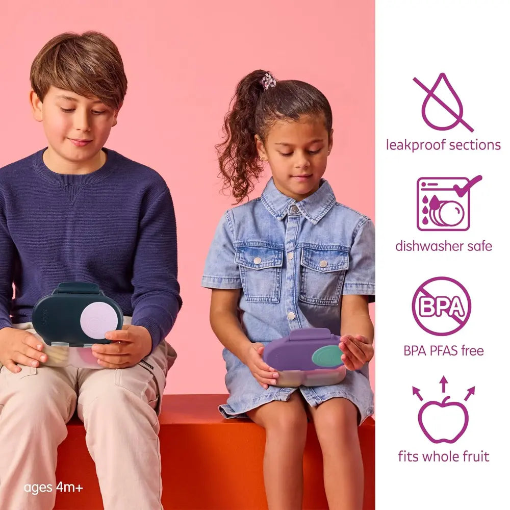B.Box Leak Proof 2 sections Snackbox for Toddlers - Easy to Carry & BPA free