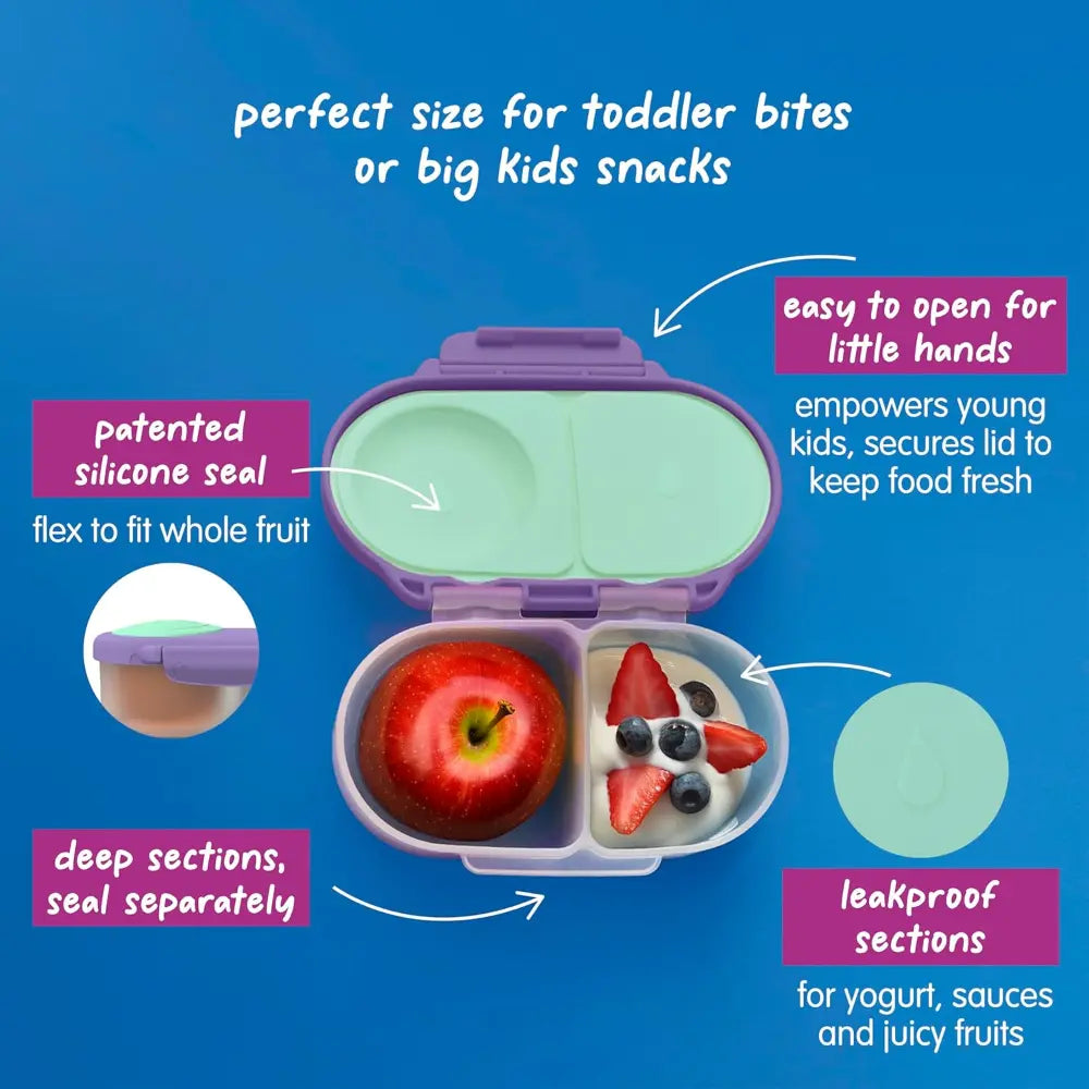 B.Box Leak Proof 2 sections Snackbox for Toddlers - Easy to Carry & BPA free