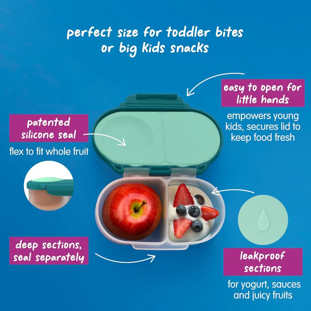 B.Box Leak Proof 2 sections Snackbox for Toddlers - Easy to Carry & BPA free