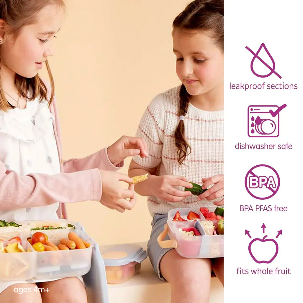B.Box Leak Proof 2 sections Snackbox for Toddlers - Easy to Carry & BPA free