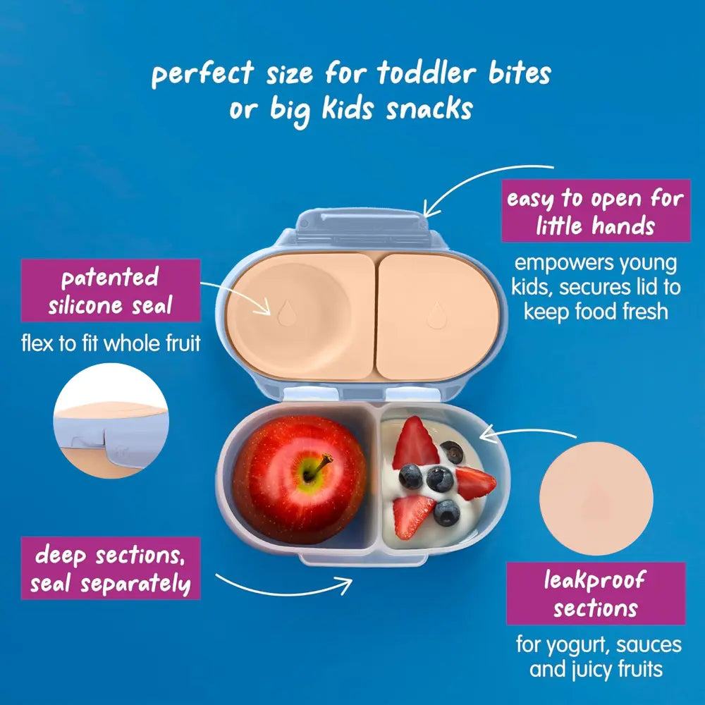 B.Box Leak Proof 2 sections Snackbox for Toddlers - Easy to Carry & BPA free