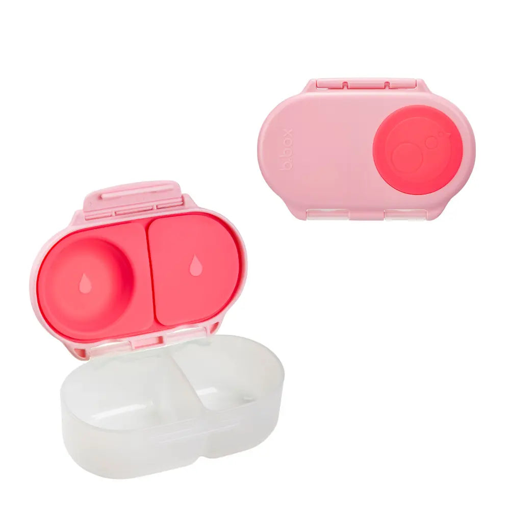 B.Box Leak Proof 2 sections Snackbox for Toddlers - Easy to Carry & BPA free