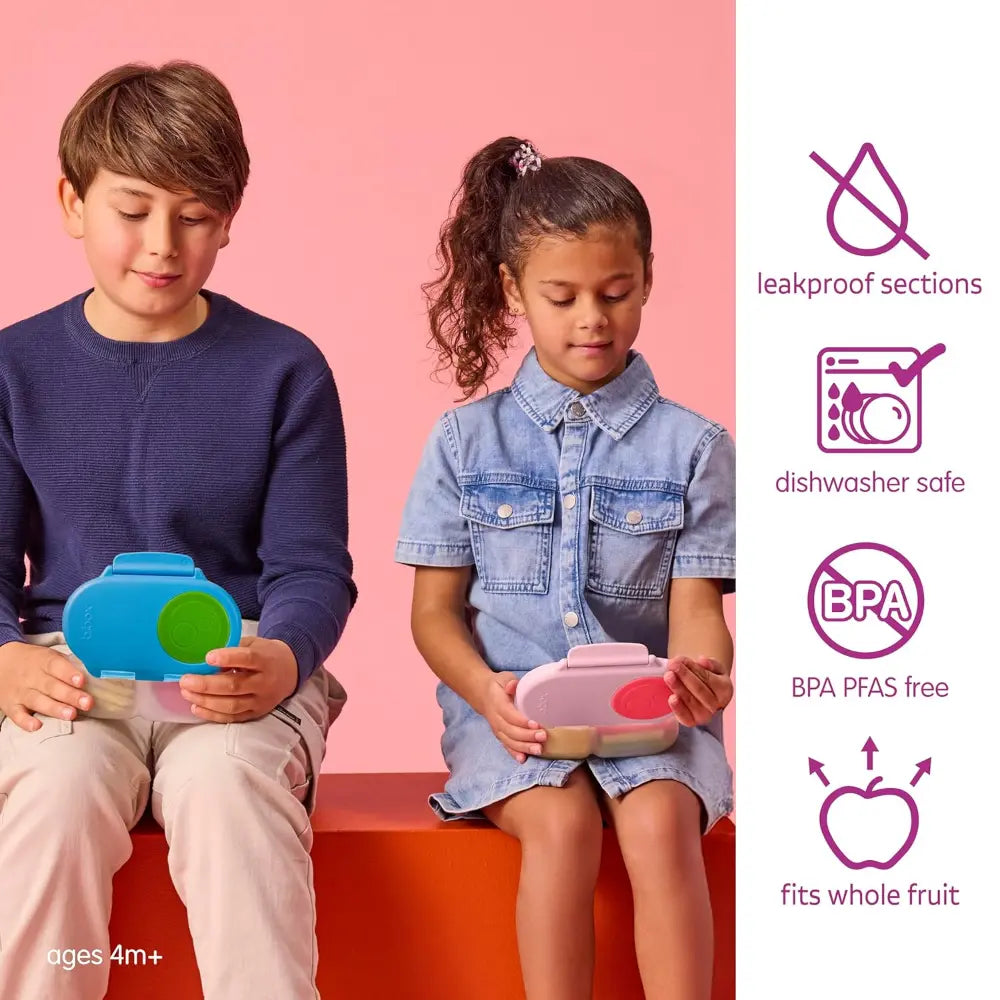 B.Box Leak Proof 2 sections Snackbox for Toddlers - Easy to Carry & BPA free