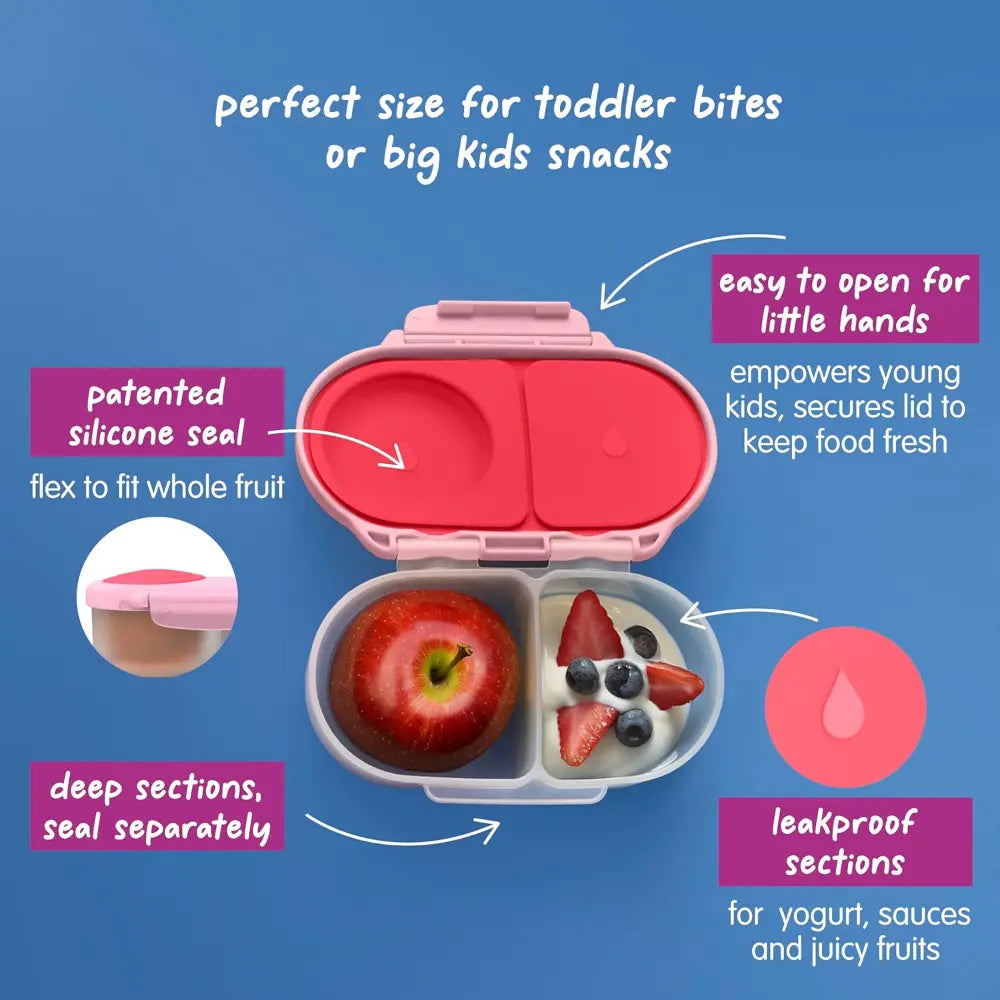 B.Box Leak Proof 2 sections Snackbox for Toddlers - Easy to Carry & BPA free