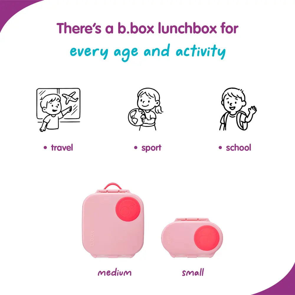 B.Box Leak Proof 2 sections Snackbox for Toddlers - Easy to Carry & BPA free