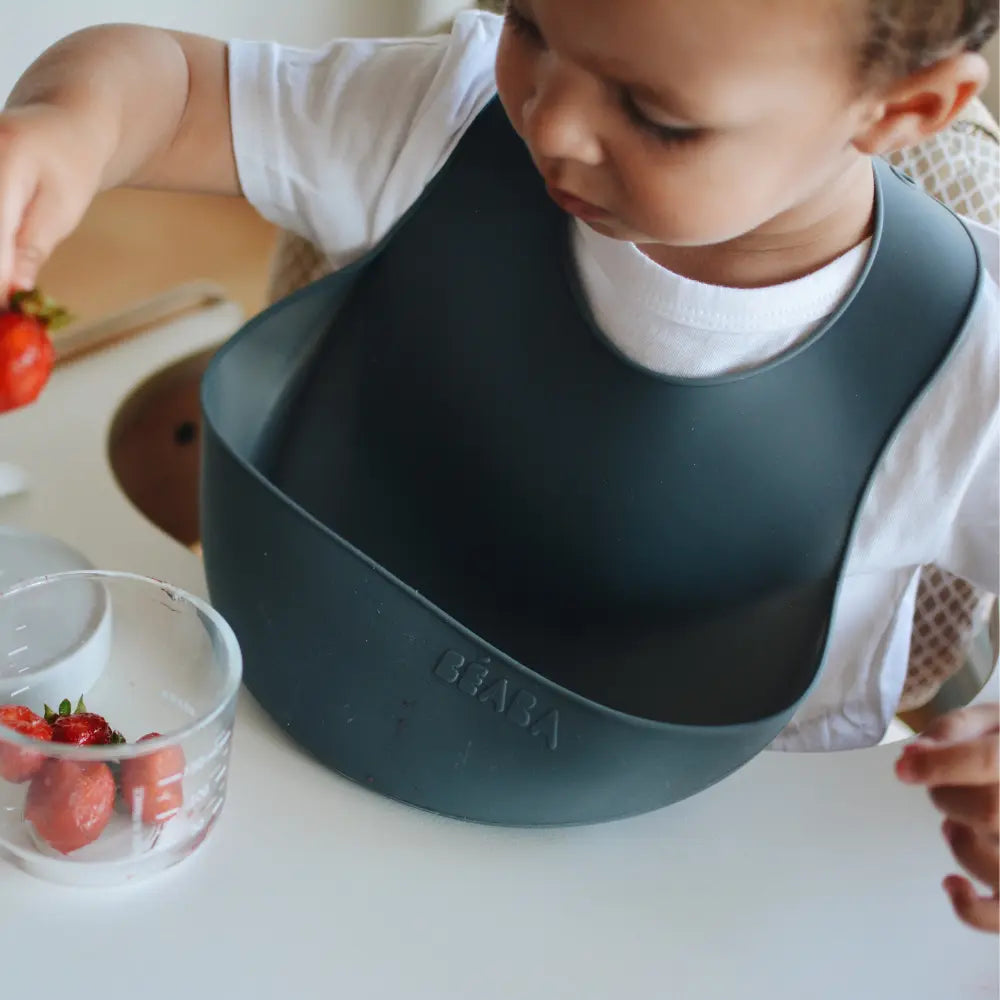 Beaba Silicone Waterproof Baby Feeding Bib with Food Catcher Pocket, BPA-Free, Easy to Clean, 4M+