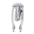 Mastela Deluxe Portable Swing
