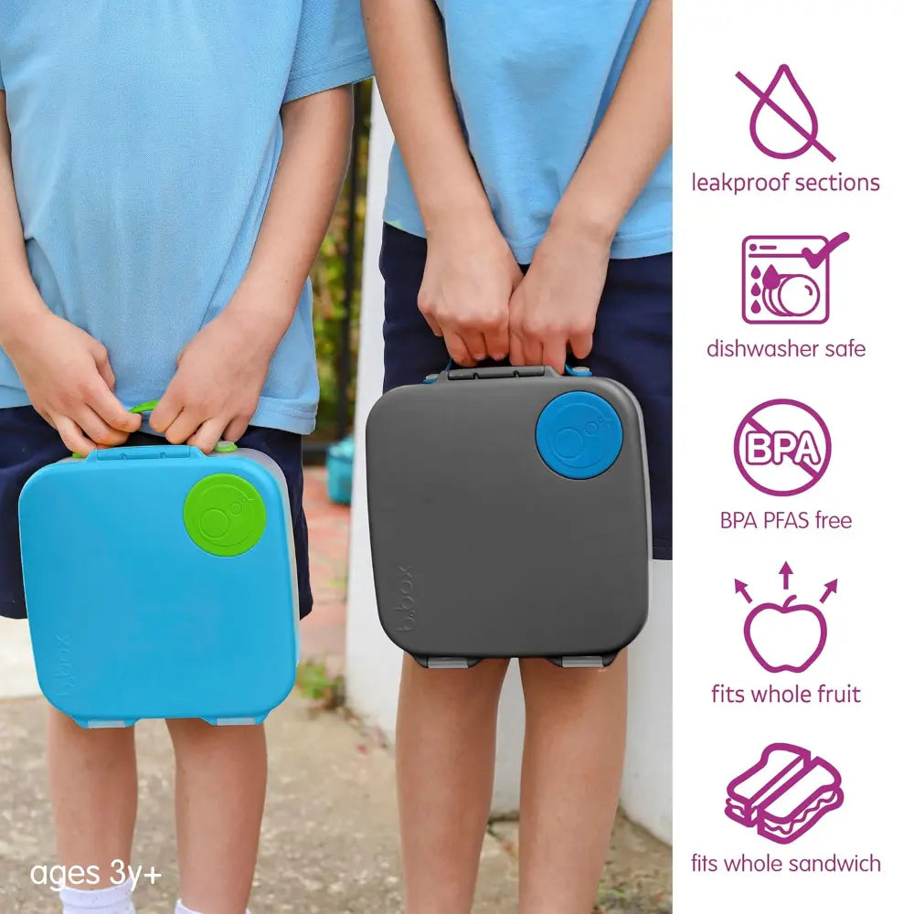 B.Box Leakproof Bento Style Big Lunchbox for Kids with 5 sections - ideal for School Lunch