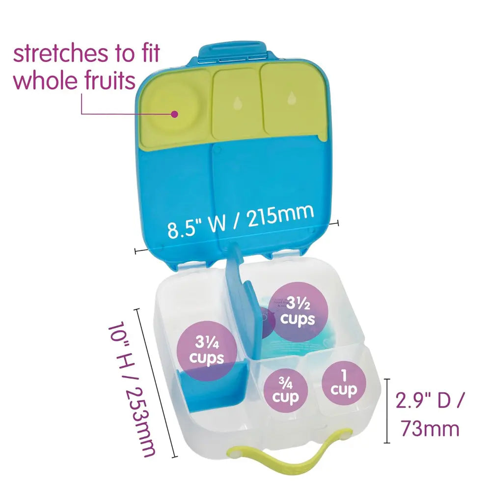 B.Box Leakproof Bento Style Big Lunchbox for Kids with 5 sections - ideal for School Lunch