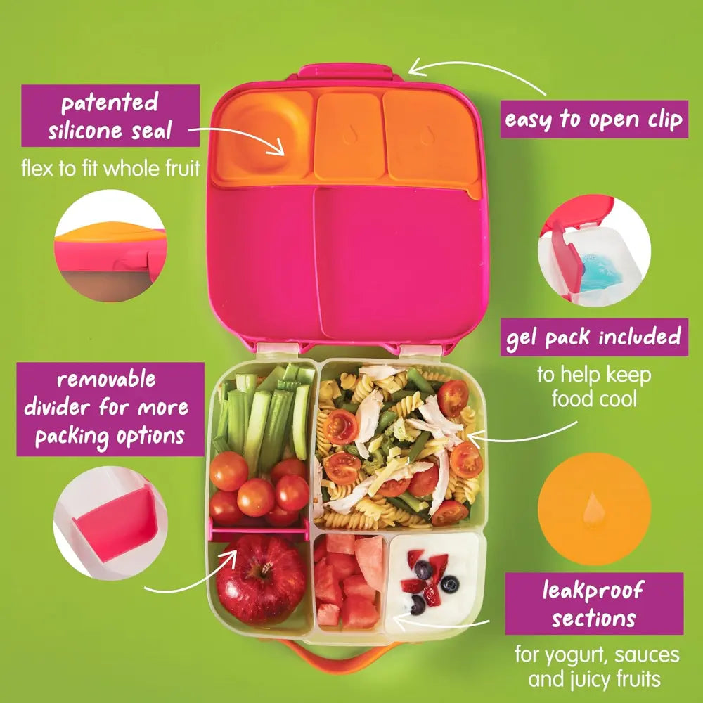 B.Box Leakproof Bento Style Big Lunchbox for Kids with 5 sections - ideal for School Lunch