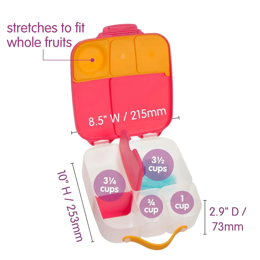 B.Box Leakproof Bento Style Big Lunchbox for Kids with 5 sections - ideal for School Lunch