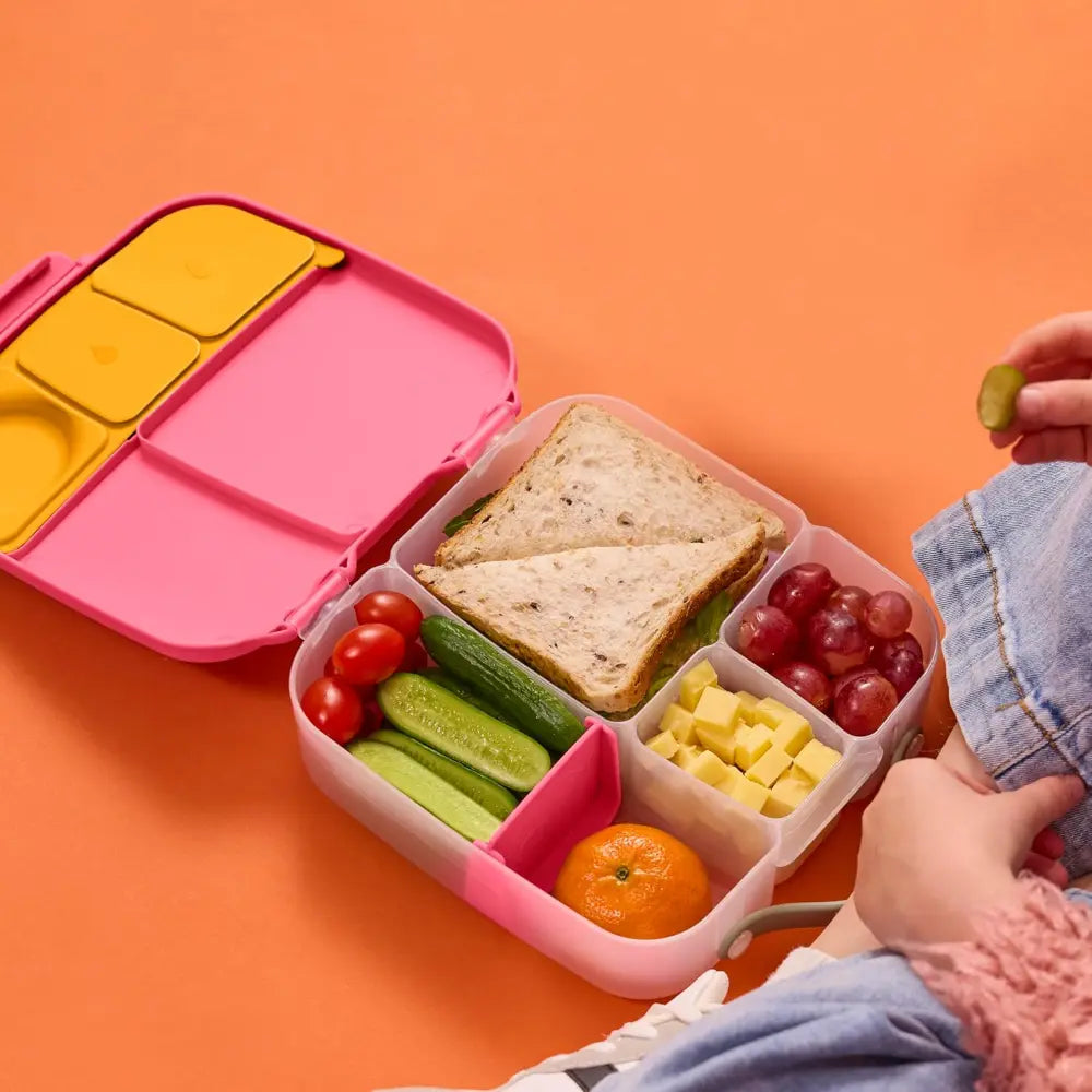 B.Box Leakproof Bento Style Big Lunchbox for Kids with 5 sections - ideal for School Lunch