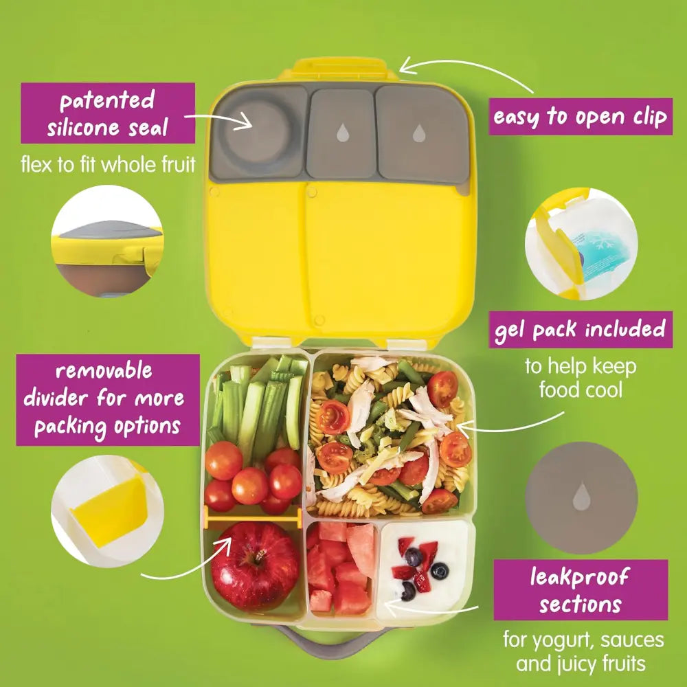 B.Box Leakproof Bento Style Big Lunchbox for Kids with 5 sections - ideal for School Lunch