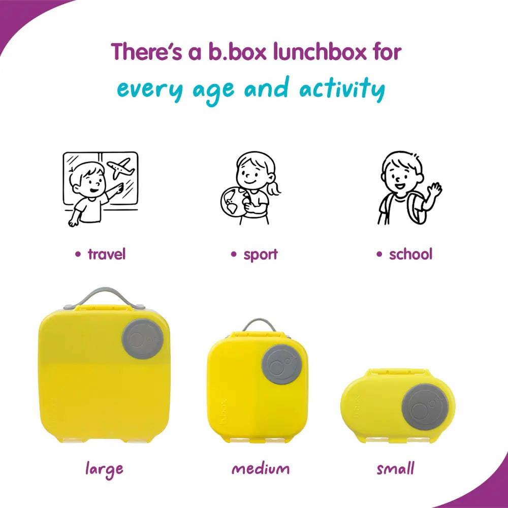 B.Box Leakproof Bento Style Big Lunchbox for Kids with 5 sections - ideal for School Lunch