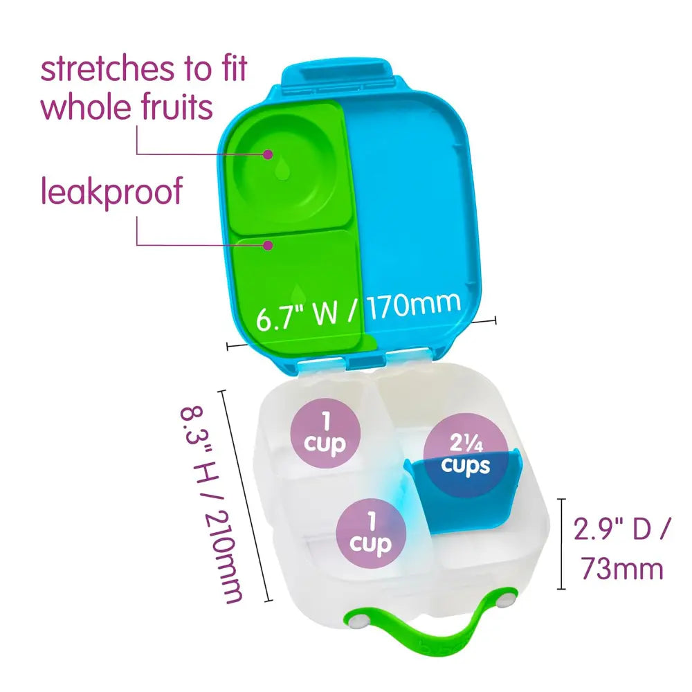B.Box Leakproof Bento Style Mini Lunchbox for Kids- A Handy Option for Kids 1L Capacity