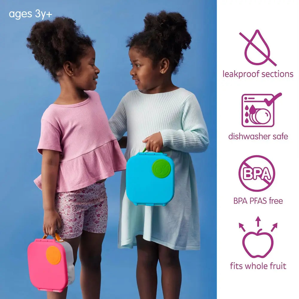 B.Box Leakproof Bento Style Mini Lunchbox for Kids- A Handy Option for Kids 1L Capacity