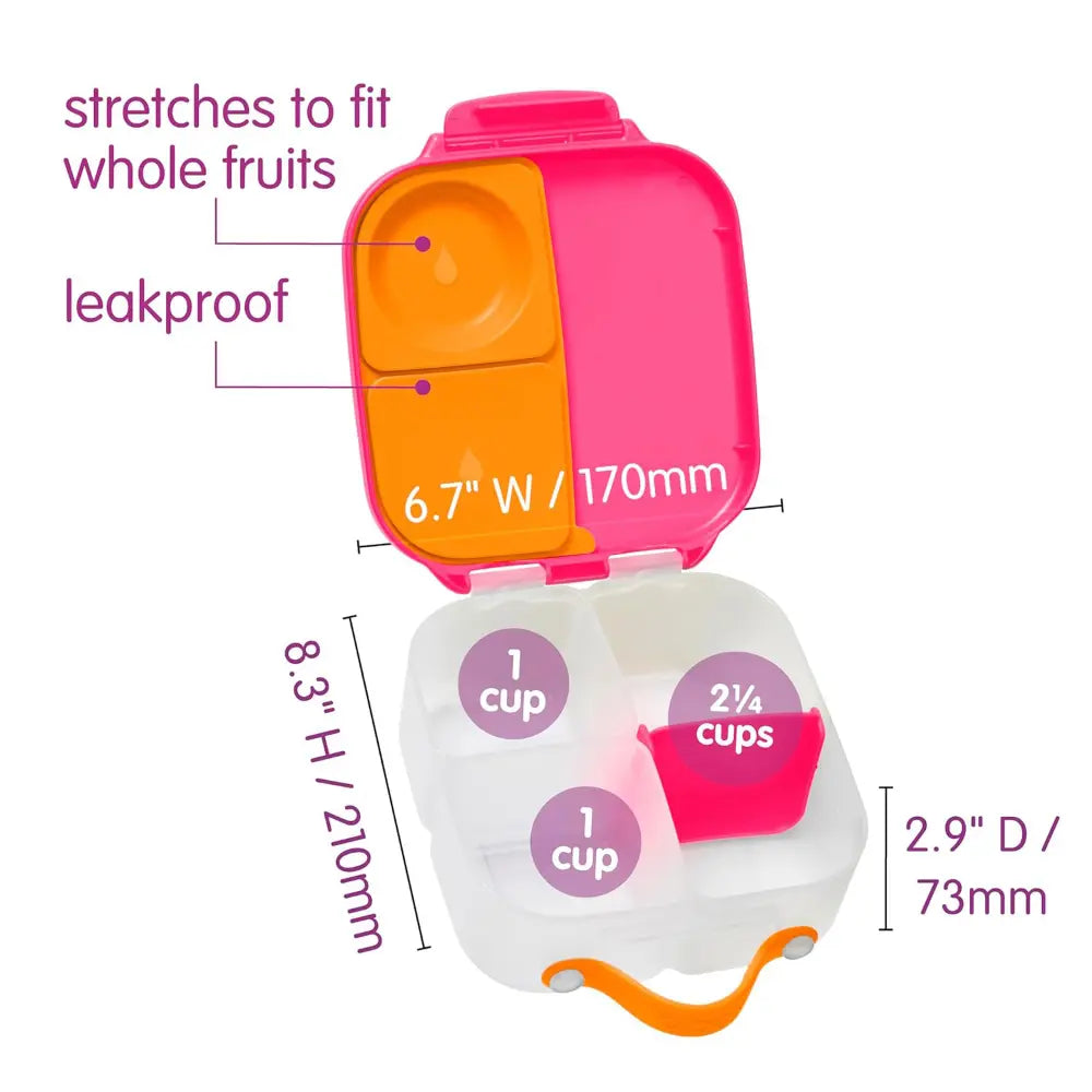 B.Box Leakproof Bento Style Mini Lunchbox for Kids- A Handy Option for Kids 1L Capacity
