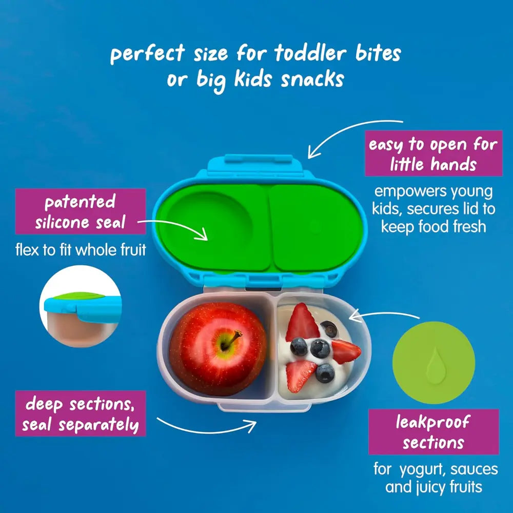 B.Box Leak Proof 2 sections Snackbox for Toddlers - Easy to Carry & BPA free