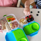 B.Box Leak Proof 2 sections Snackbox for Toddlers - Easy to Carry & BPA free