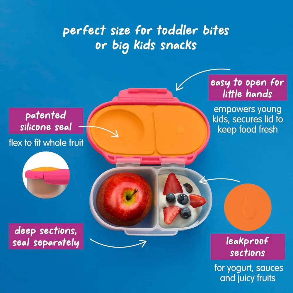 B.Box Leak Proof 2 sections Snackbox for Toddlers - Easy to Carry & BPA free