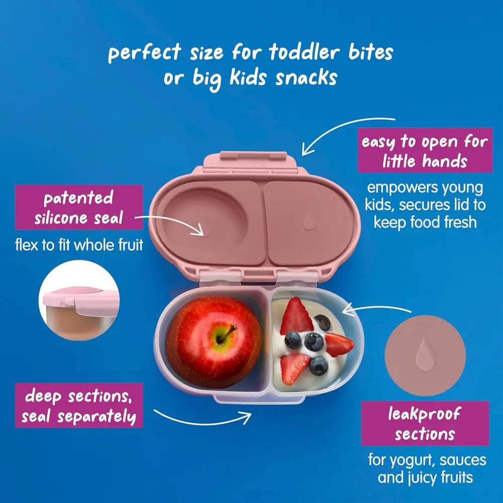B.Box Leak Proof 2 sections Snackbox for Toddlers - Easy to Carry & BPA free