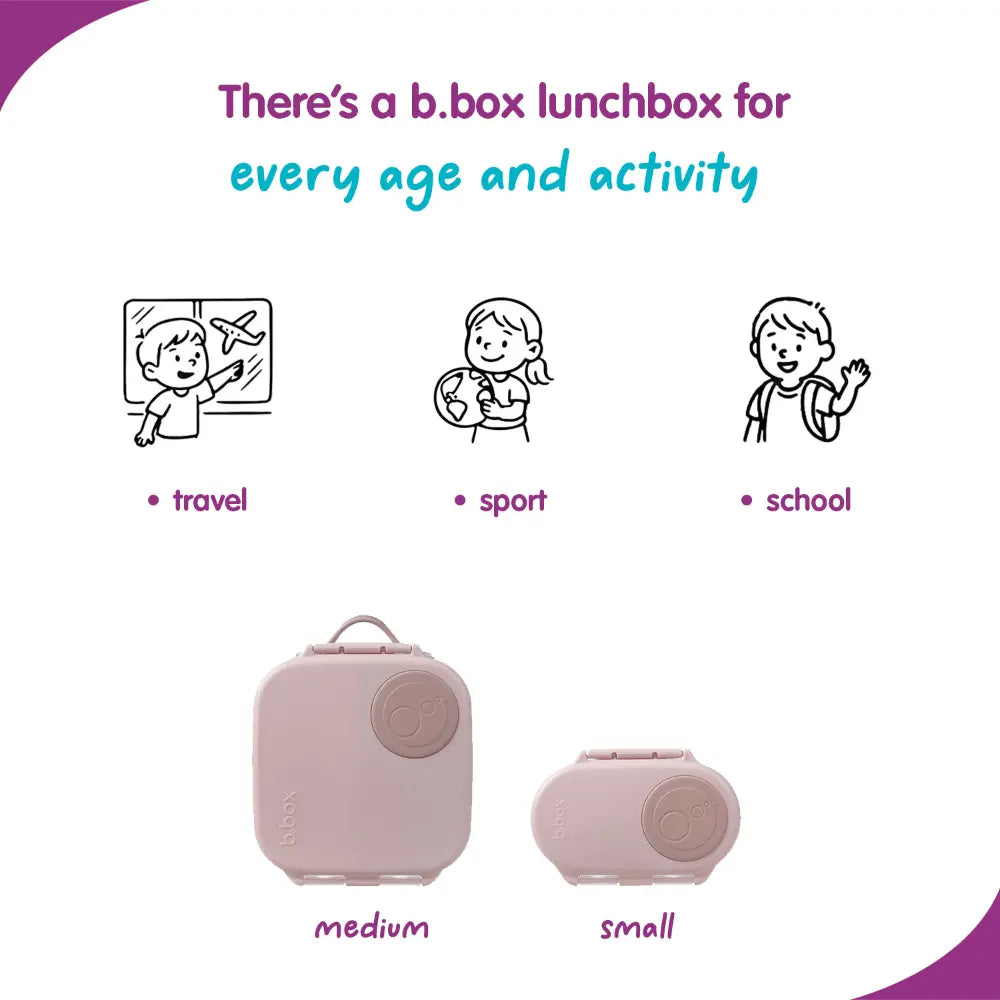 B.Box Leak Proof 2 sections Snackbox for Toddlers - Easy to Carry & BPA free