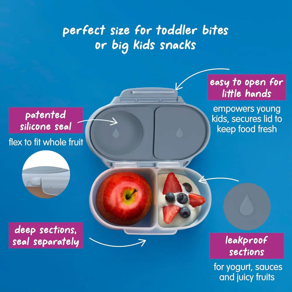 B.Box Leak Proof 2 sections Snackbox for Toddlers - Easy to Carry & BPA free