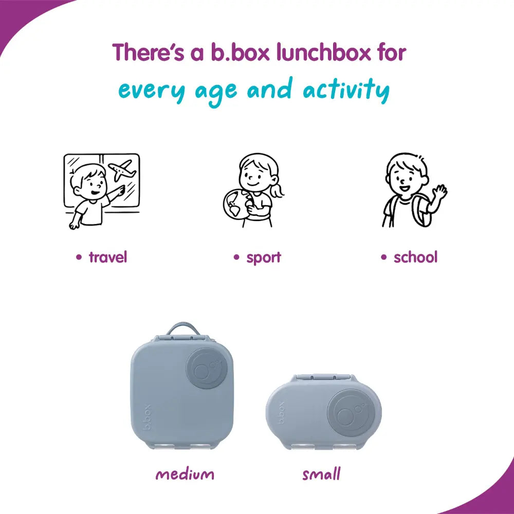 B.Box Leak Proof 2 sections Snackbox for Toddlers - Easy to Carry & BPA free