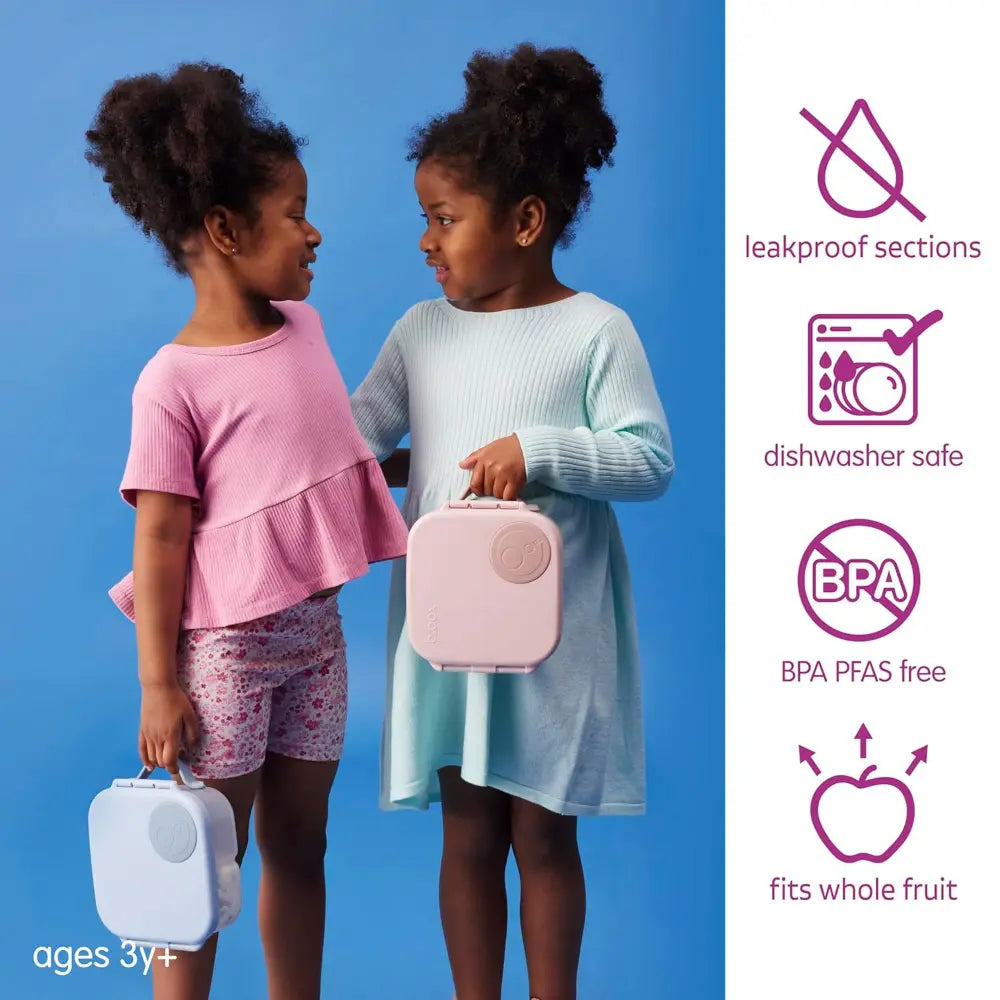 B.Box Leakproof Bento Style Mini Lunchbox for Kids- A Handy Option for Kids 1L Capacity