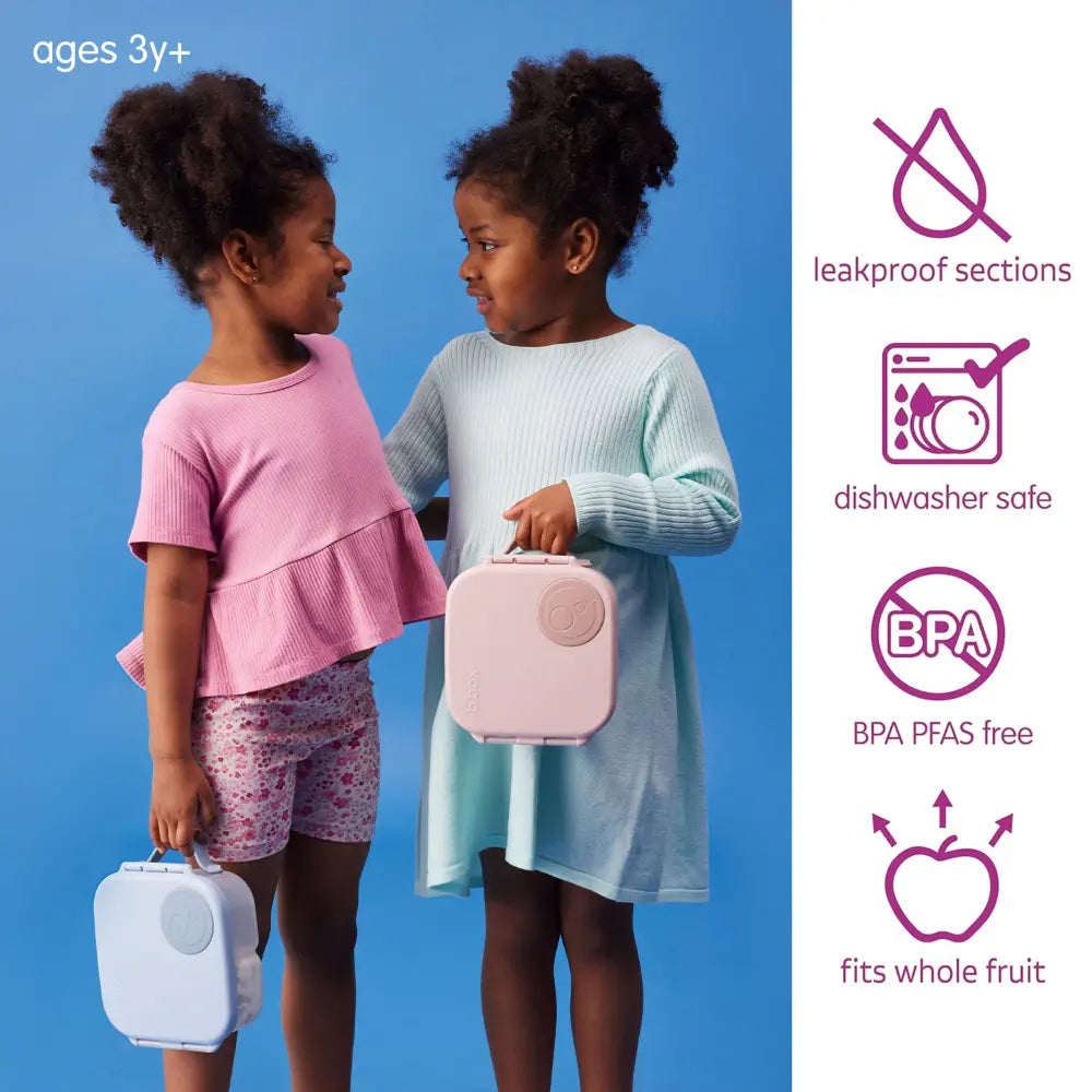 B.Box Leakproof Bento Style Mini Lunchbox for Kids- A Handy Option for Kids 1L Capacity