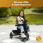 Chicco 4in1 Evo Trike