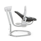 Joie Serina™ 2in1 Infant Swing & Rocker