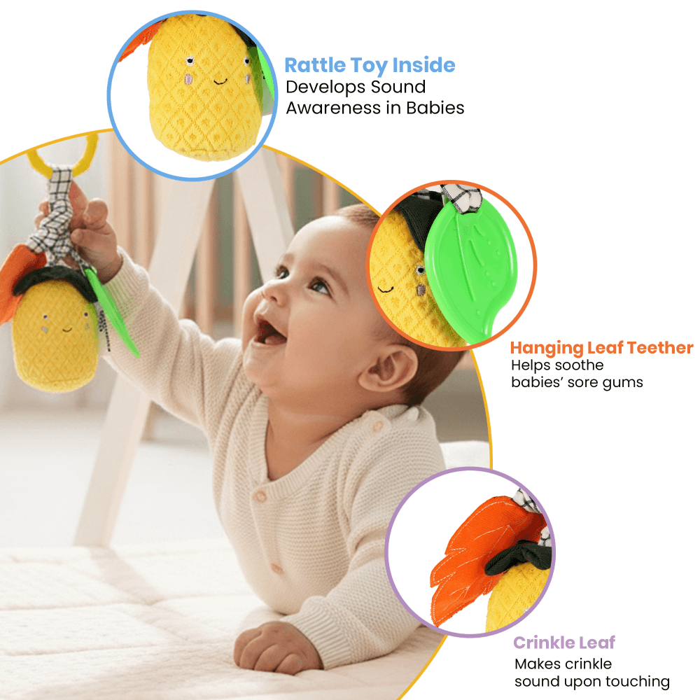 Nuluv Pineapple Rattle