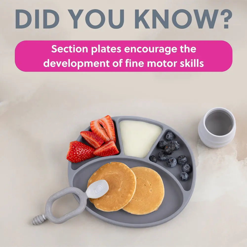BiBaDo Silicone Suction Plate for Baby, Divider Plate for Self Baby Feeding