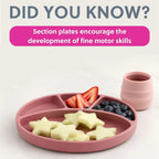 BiBaDo Silicone Suction Plate for Baby, Divider Plate for Self Baby Feeding