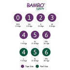 Bambo Nature Monthly Box - Premium Baby Tape Diapers for Babies, Super Absorbent, Breathable, Extra Soft, Dermatologically Tested, Hypoallergenic Infant Nappies With Wetness Indicator