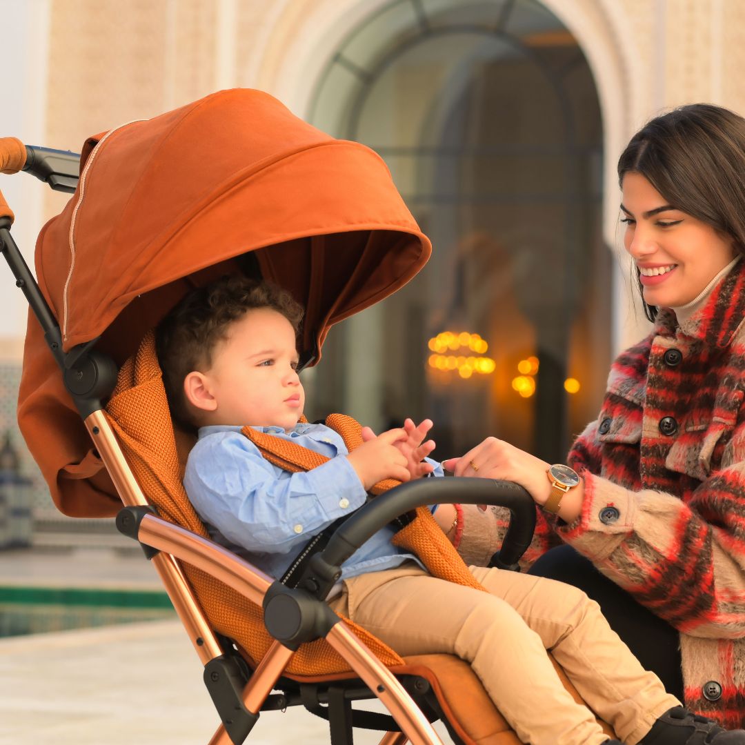 Leclerc Baby Hexagon Stroller - Heritage Sport
